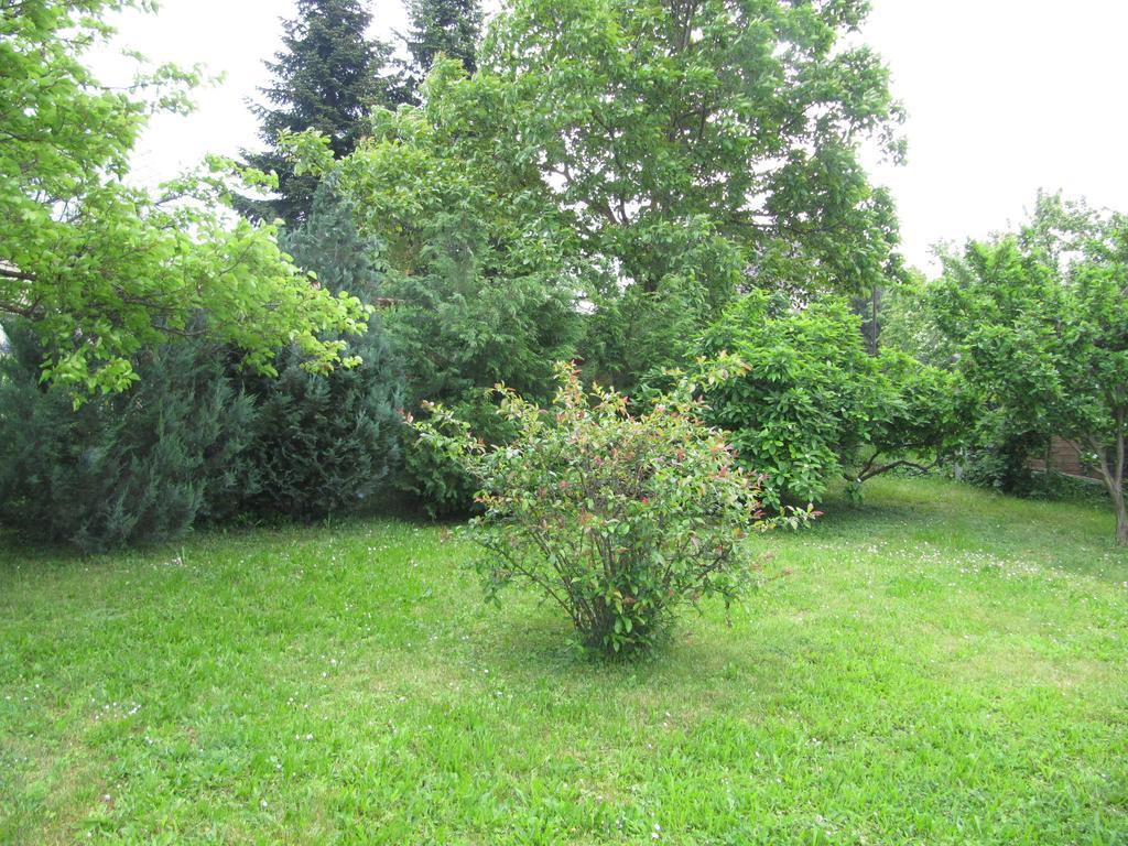 Hévíz Budai Garden House חדר תמונה